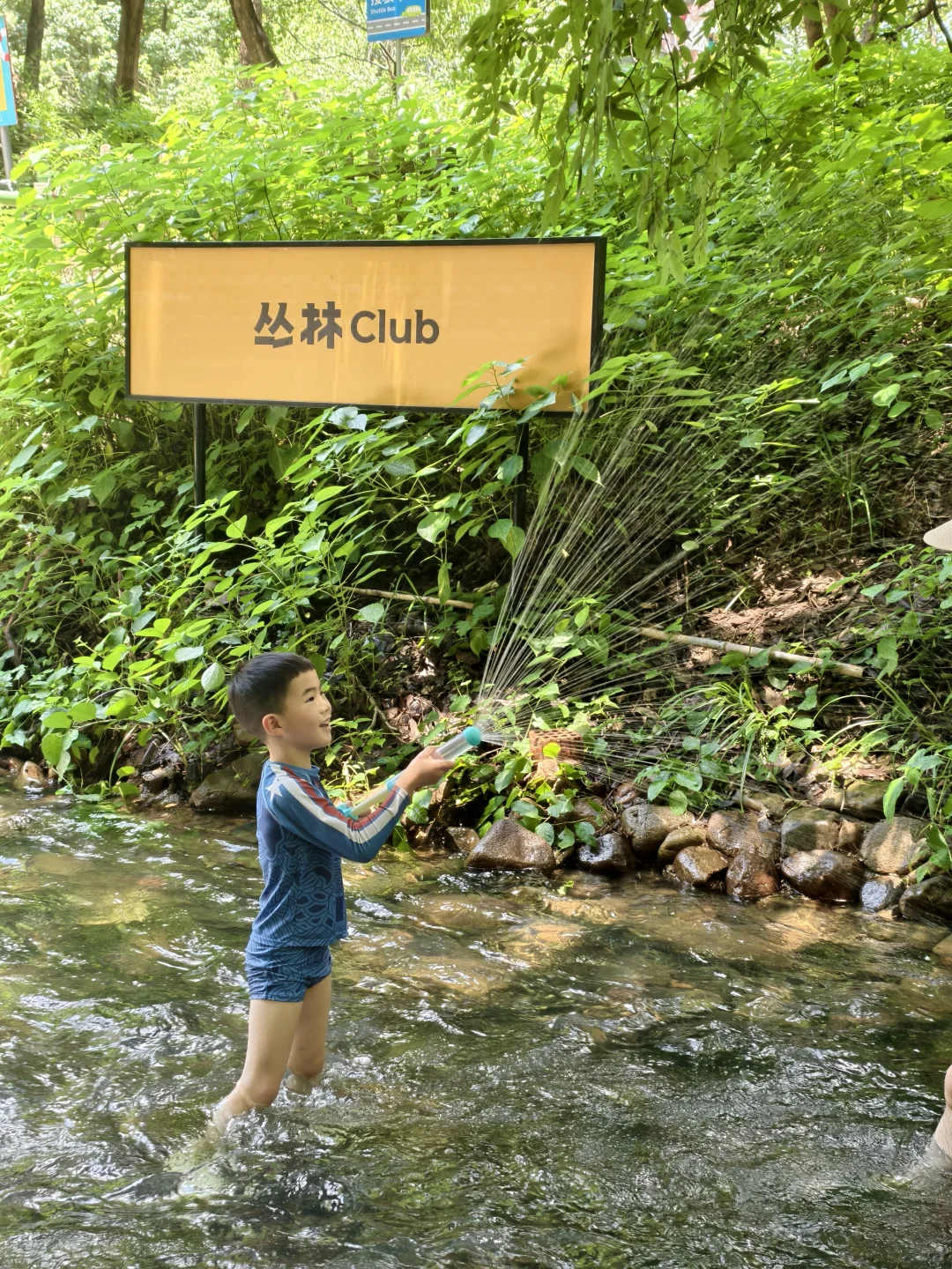 1米就能玩的竹林漂流，江浙沪亲子避暑天花