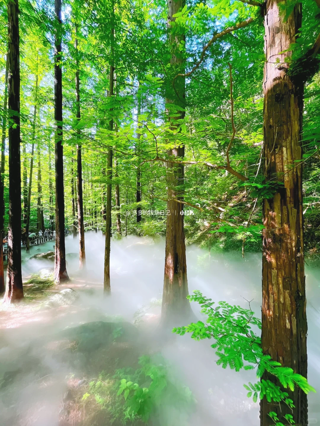 8.30北京初秋值得去的6️⃣个高颜值徒步地❗️