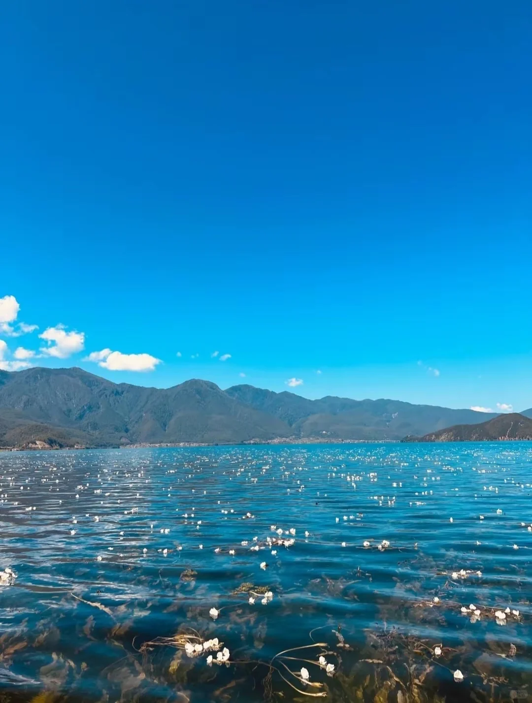 7月泸沽湖保姆级攻略🔥避坑指南+玩法‼️