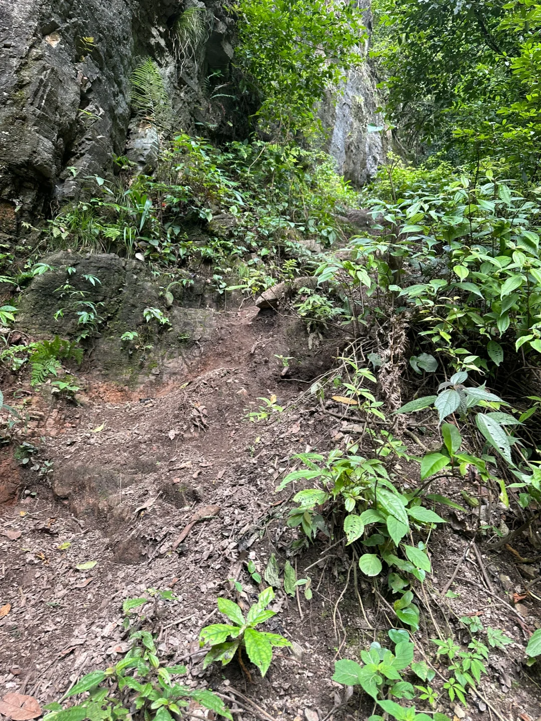 发现一个绝美又人少的瀑布🧗🏻‍♀️