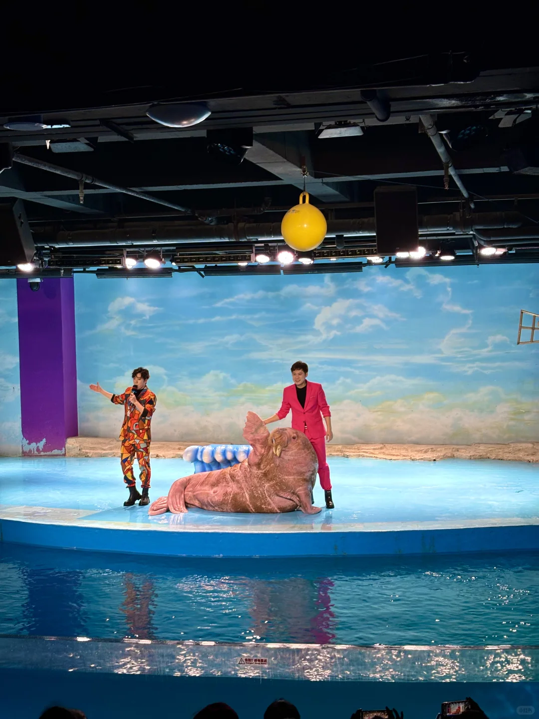 哈尔滨极地公园真的把“好玩”刻进DNA里了！