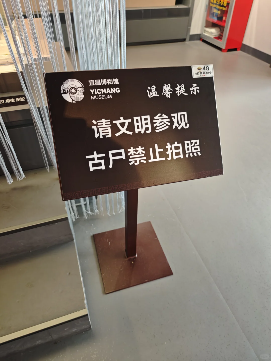 宜昌博物馆，真的被低估了