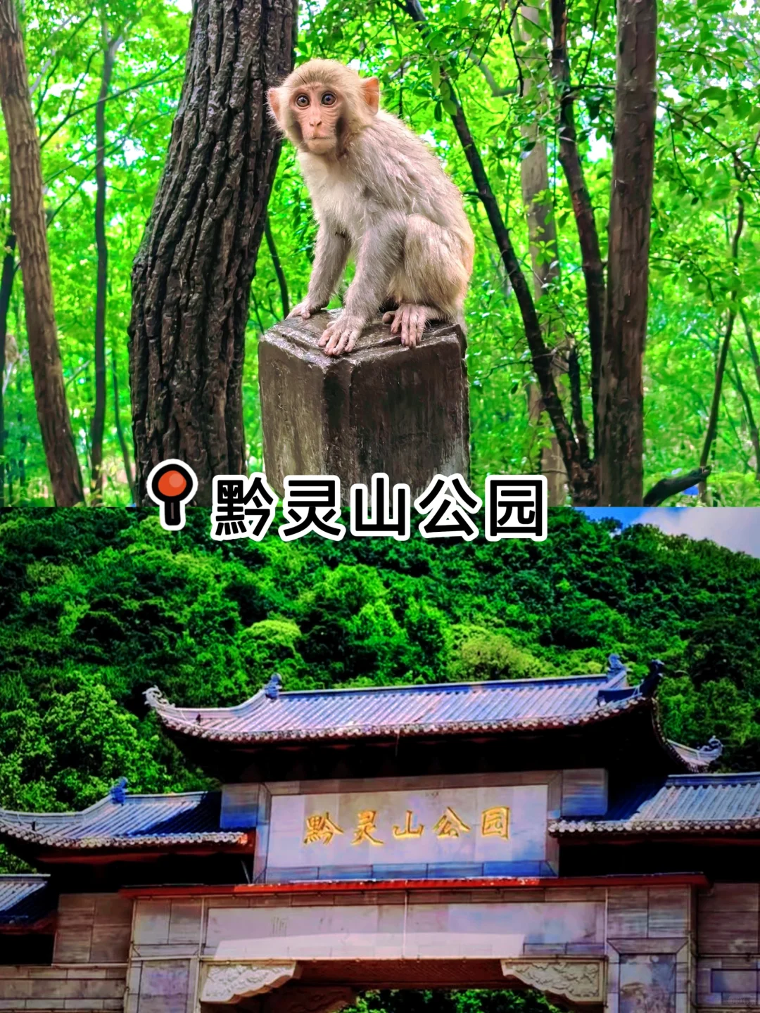 贵州亲子游必去10大景点推荐