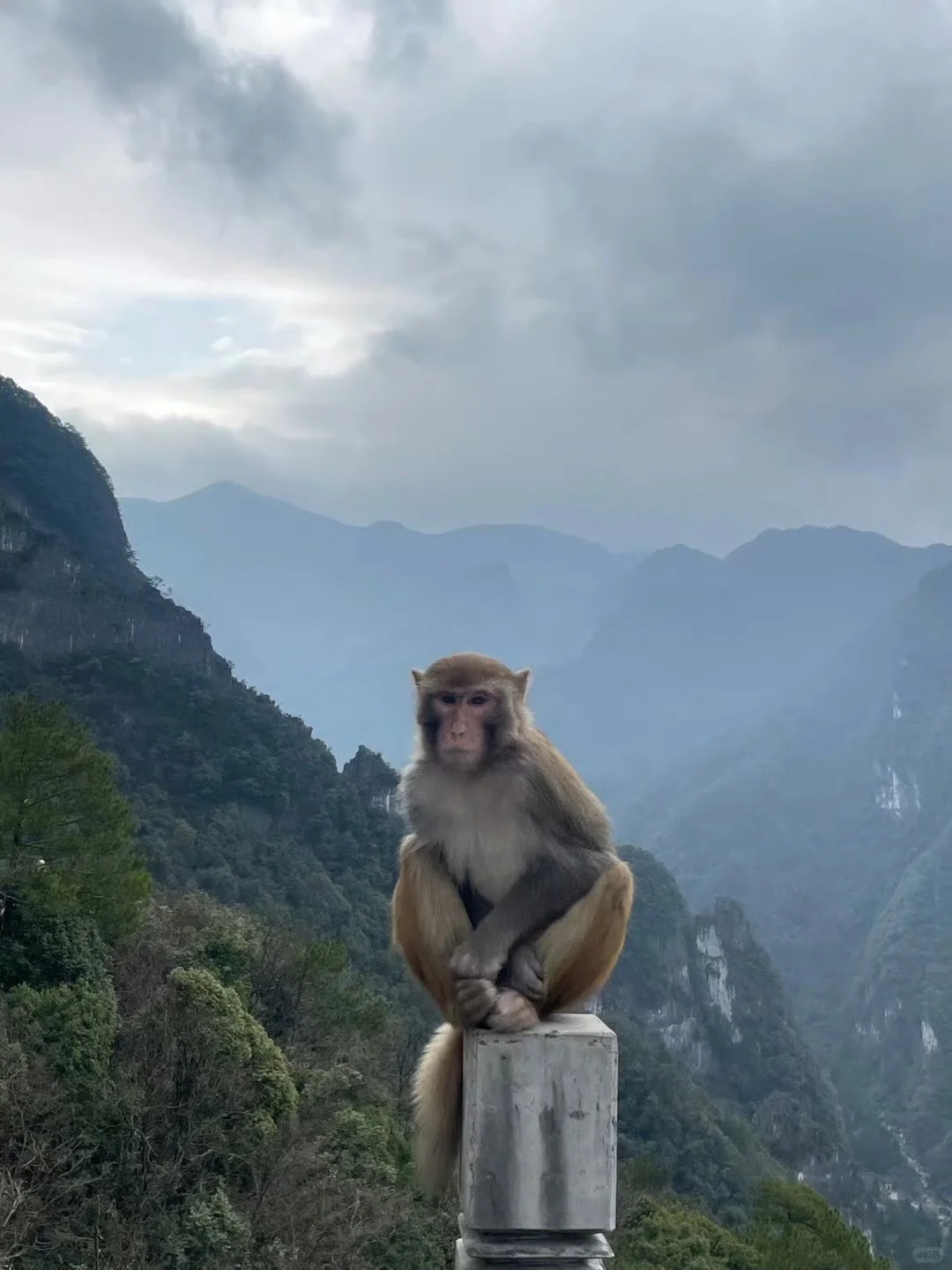 绝美风景和猴哥一起拍才完整！