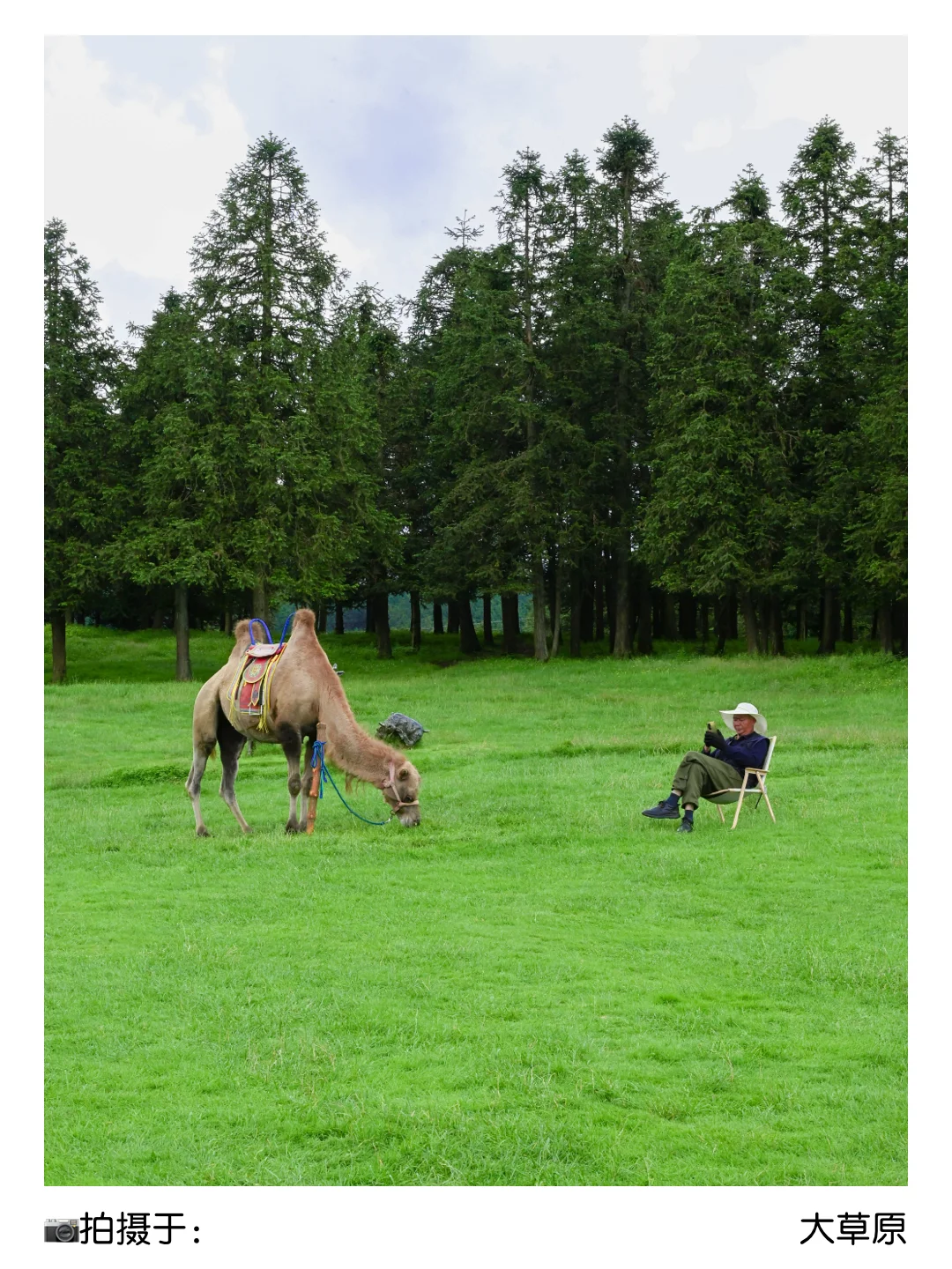 二孃叫我📣暑假来重庆避暑？