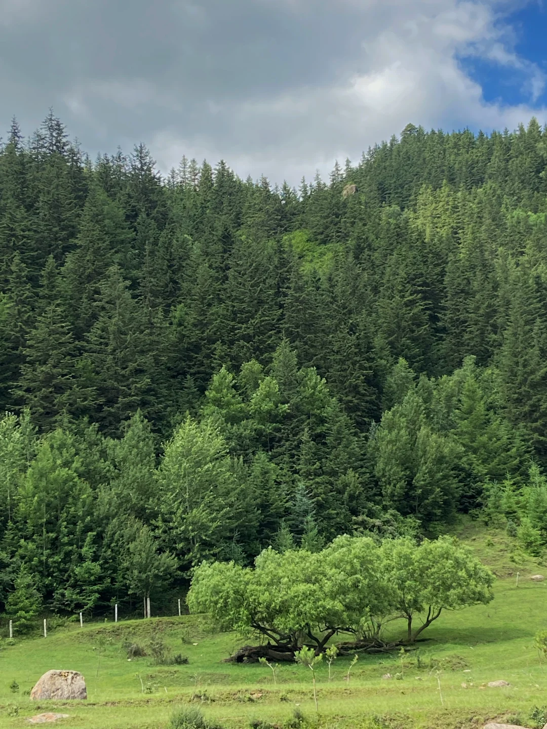 瑞士在山西叭！