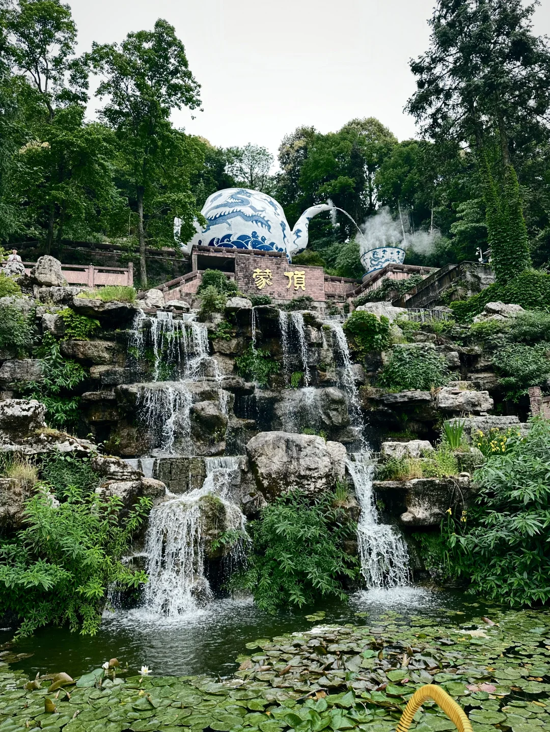 📍雅安·蒙顶山||茶韵千年，云游蒙顶