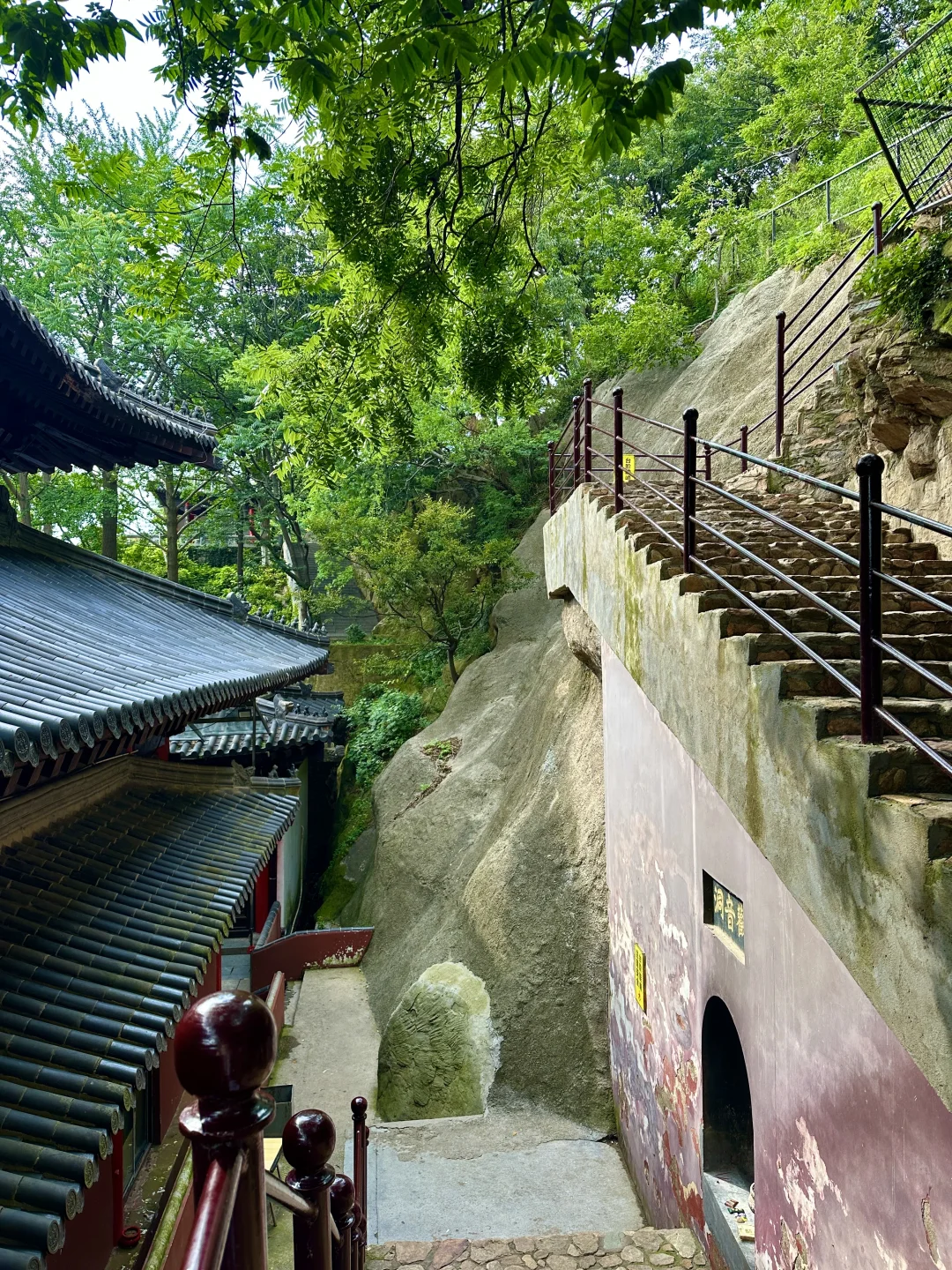 逃离40°C高温,连云港20°C的神仙避暑地 !