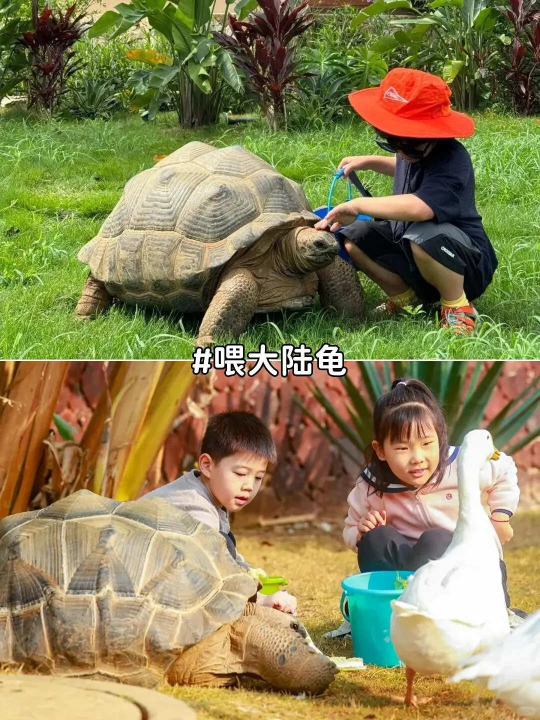 以为桂林够美了，直到带娃来了广西崇左🌴