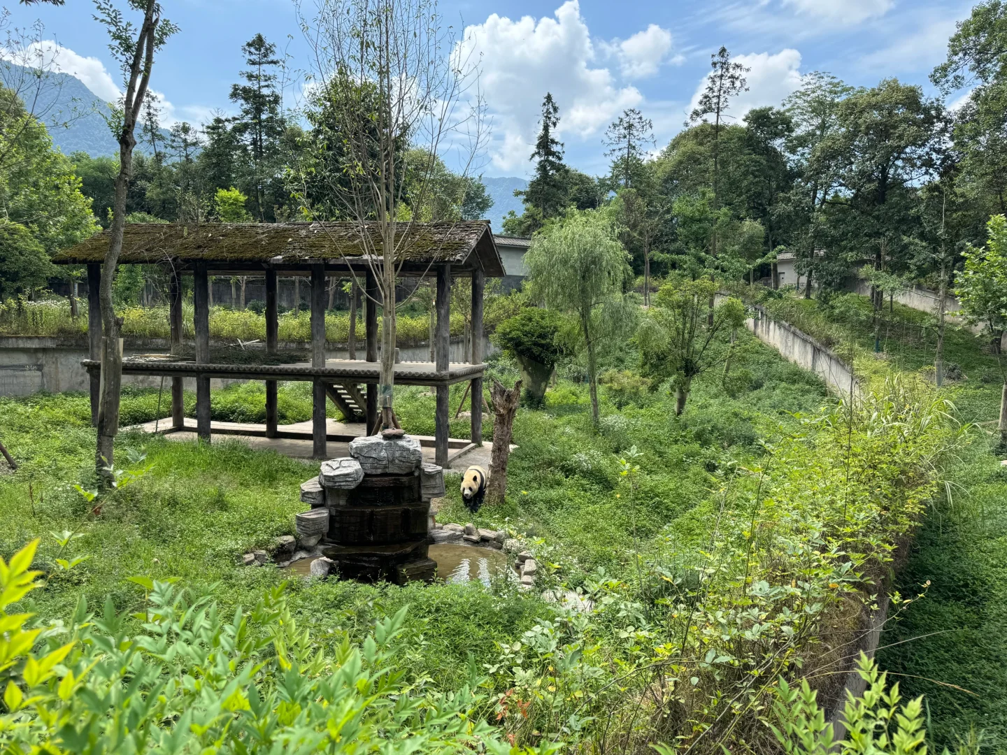 碧峰峡会惩罚每一个不做攻略的家长!