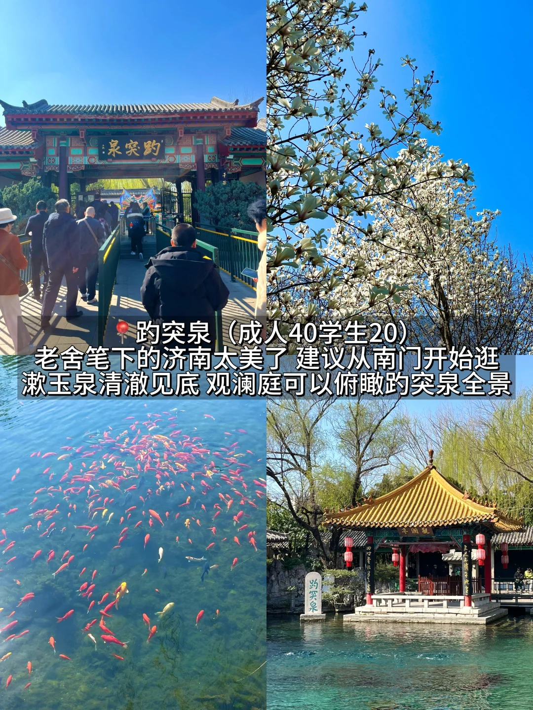 济南真的会惩罚每一个不做攻略的人。。。。