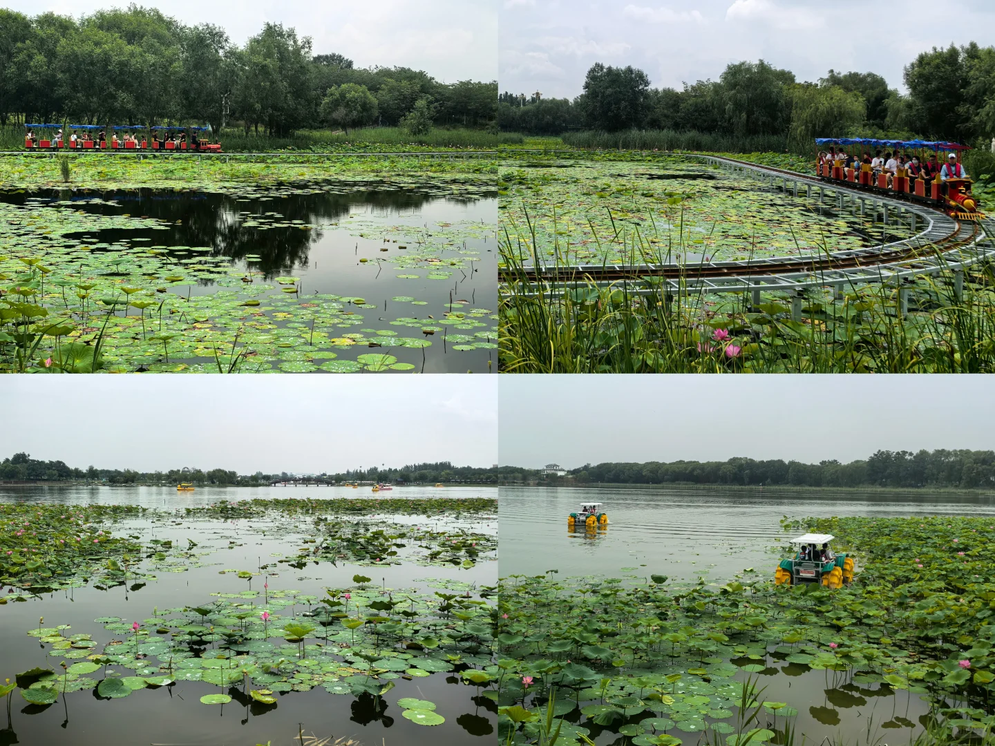 衡水一日游（休闲打卡）