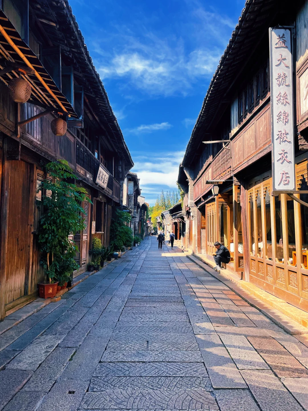 日与夜的双面乌镇