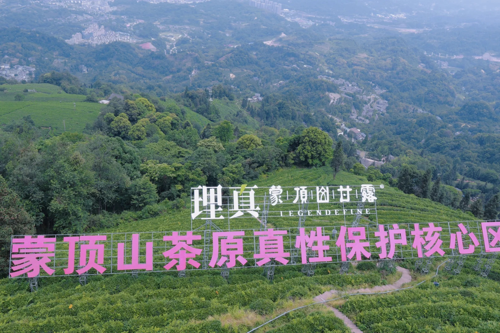 📍雅安·蒙顶山||茶韵千年，云游蒙顶