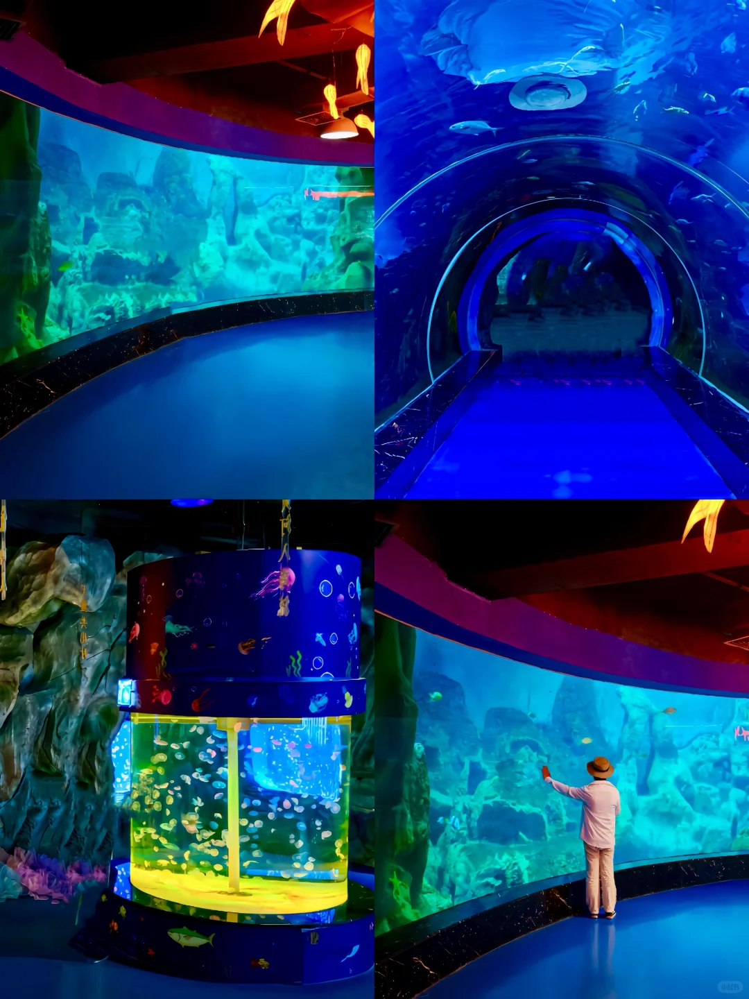 威海❗️你不宣传这里真的糊涂啊…😭