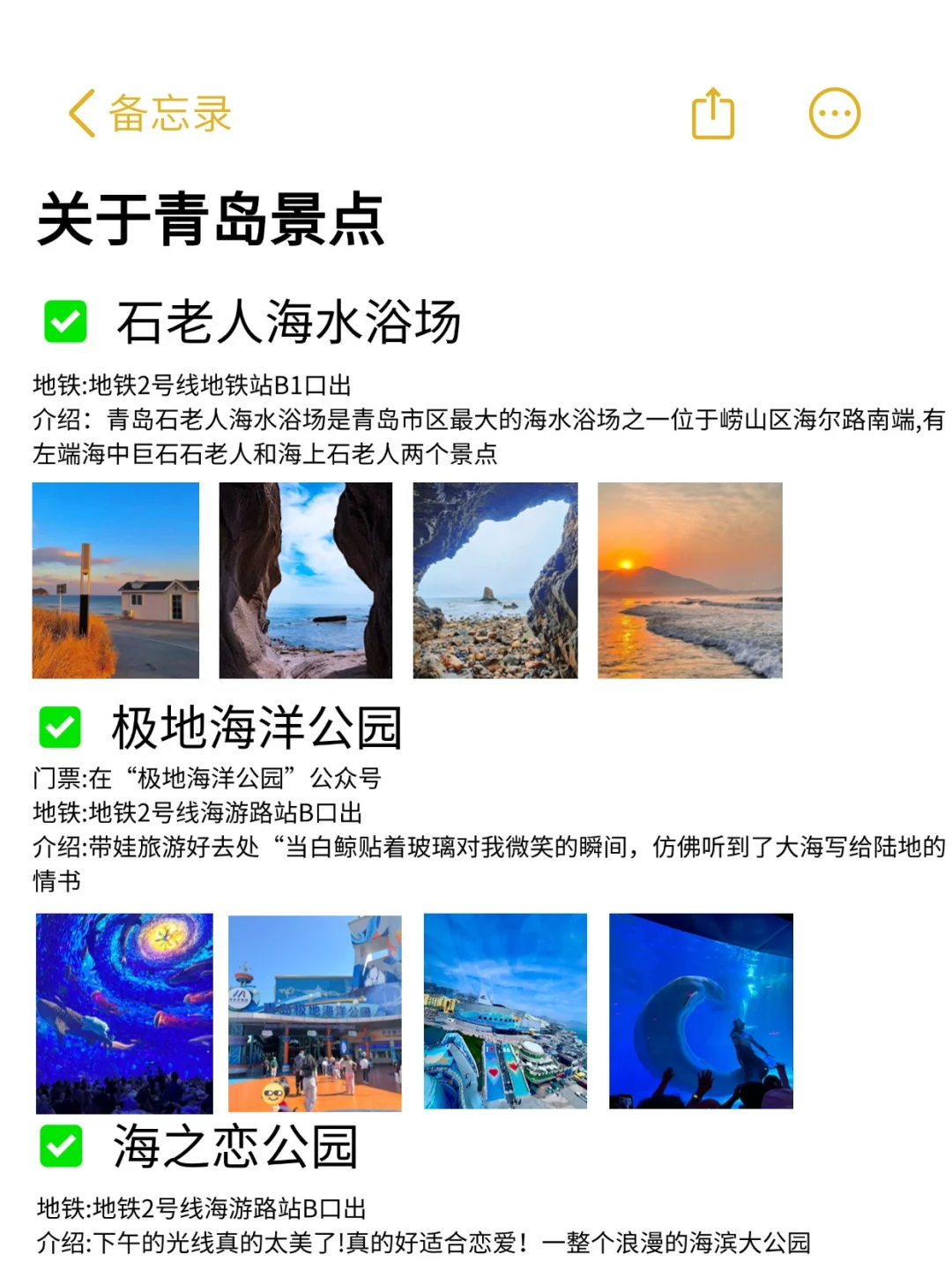 青岛本地人写的旅游攻略