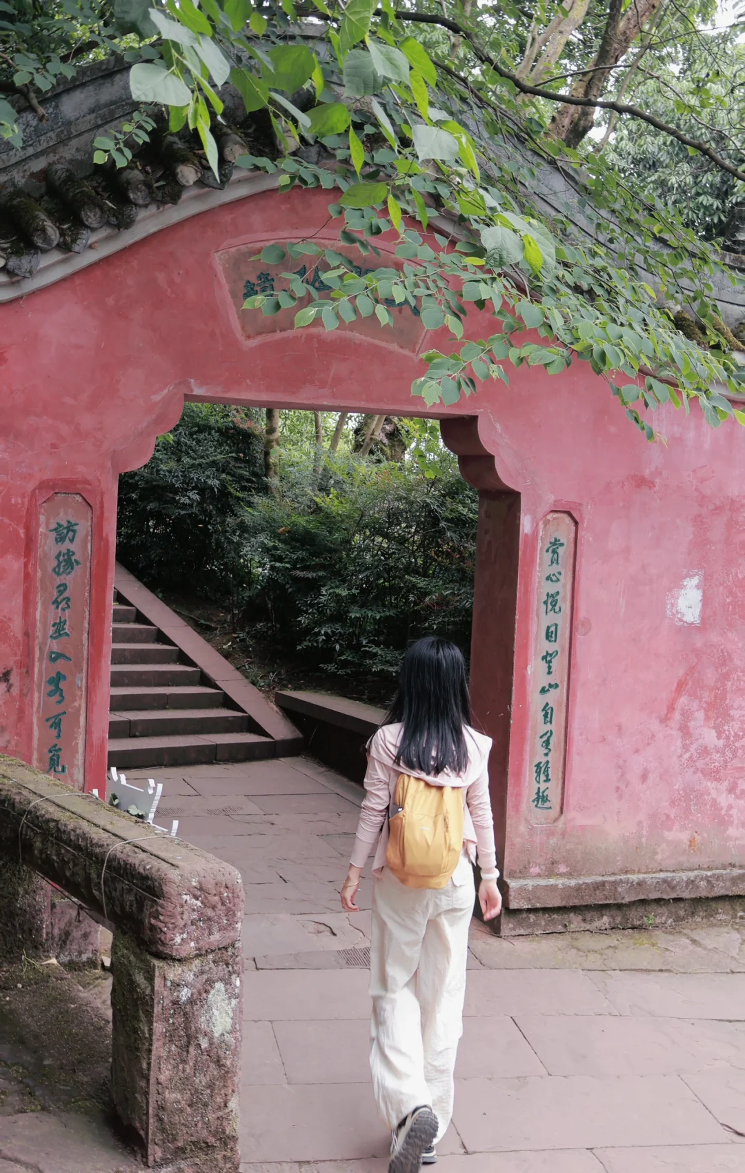 📍雅安·蒙顶山||茶韵千年，云游蒙顶