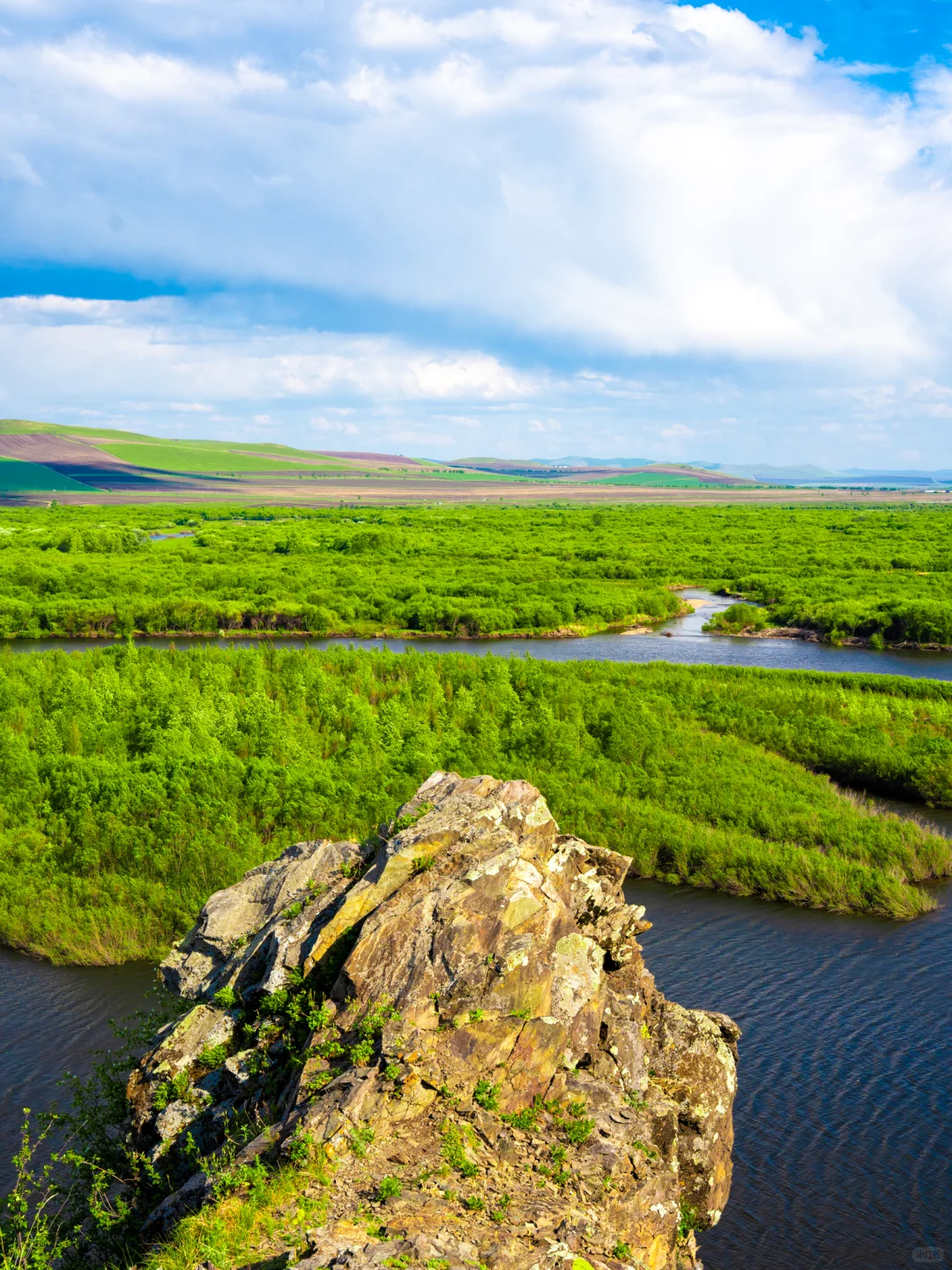 暑假的呼伦贝尔简直是人间理想