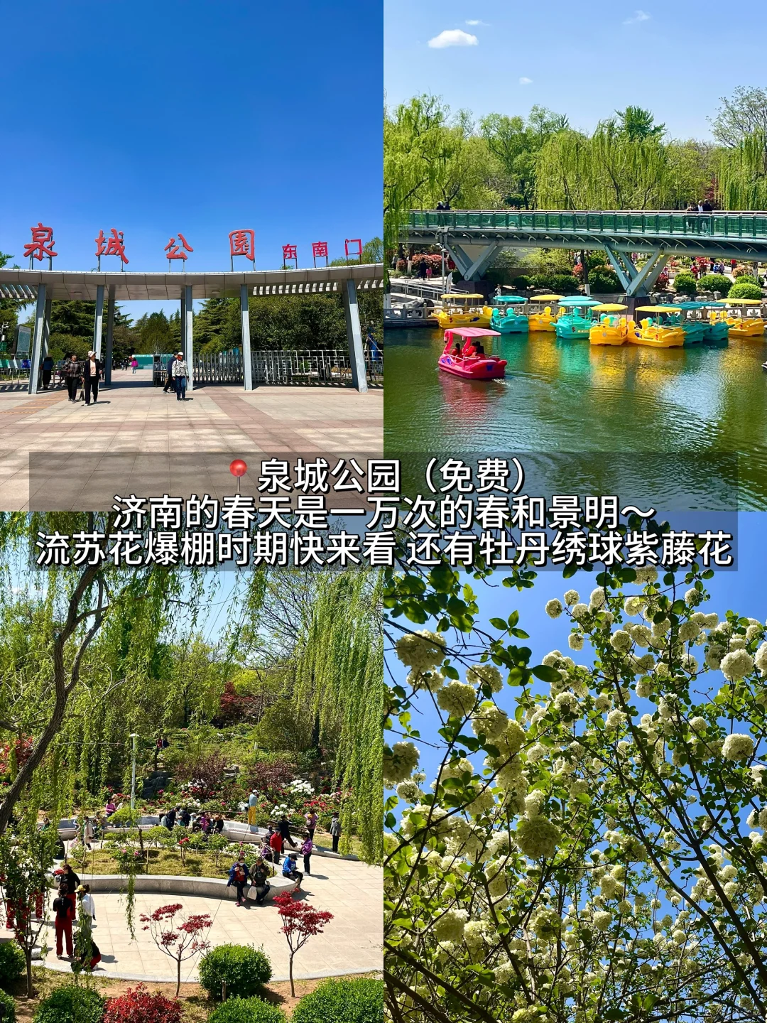 济南真的会惩罚每一个不做攻略的人。。。。