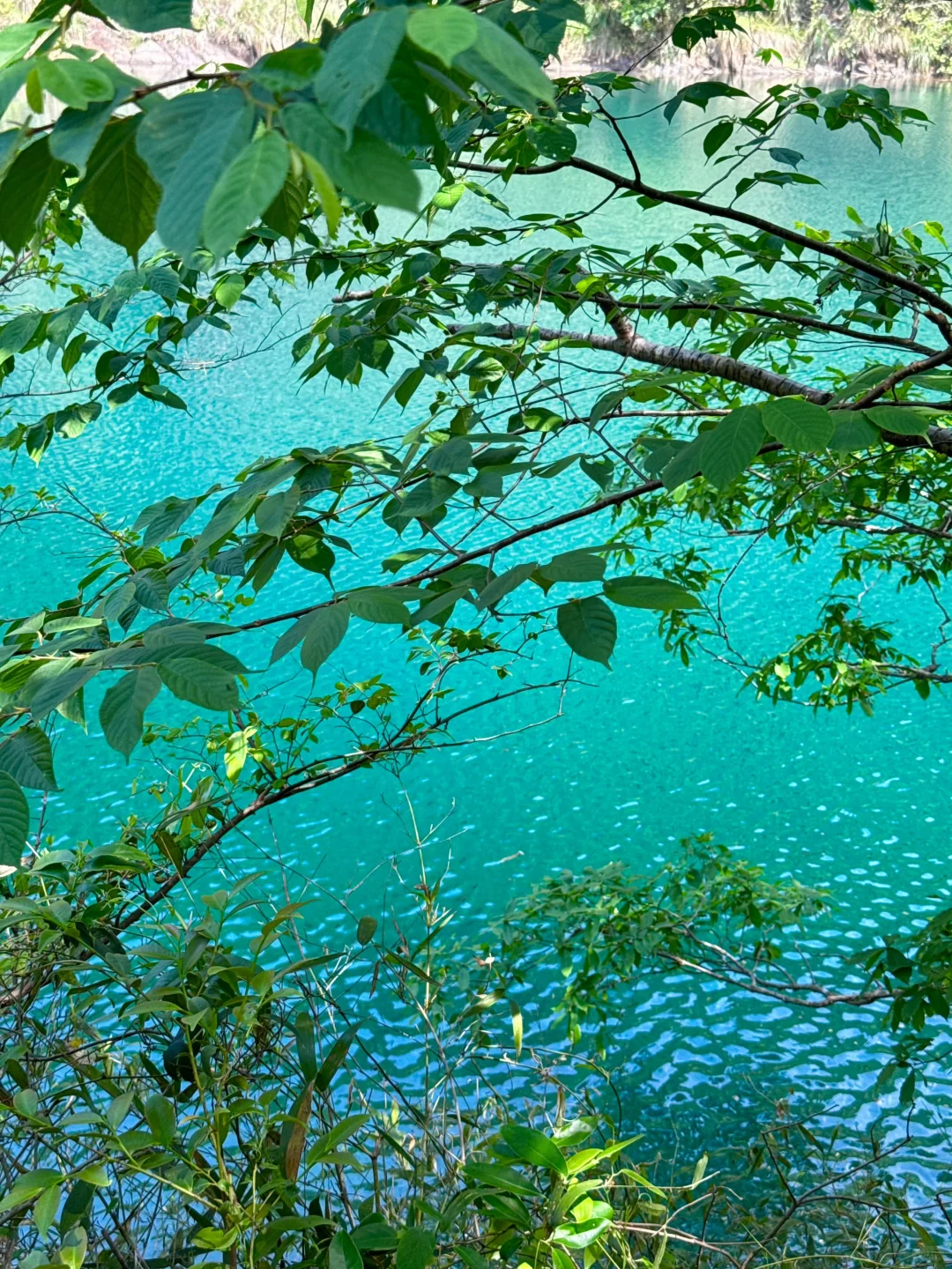 03女大📍桐庐/两天一夜精华版旅游攻略‼️