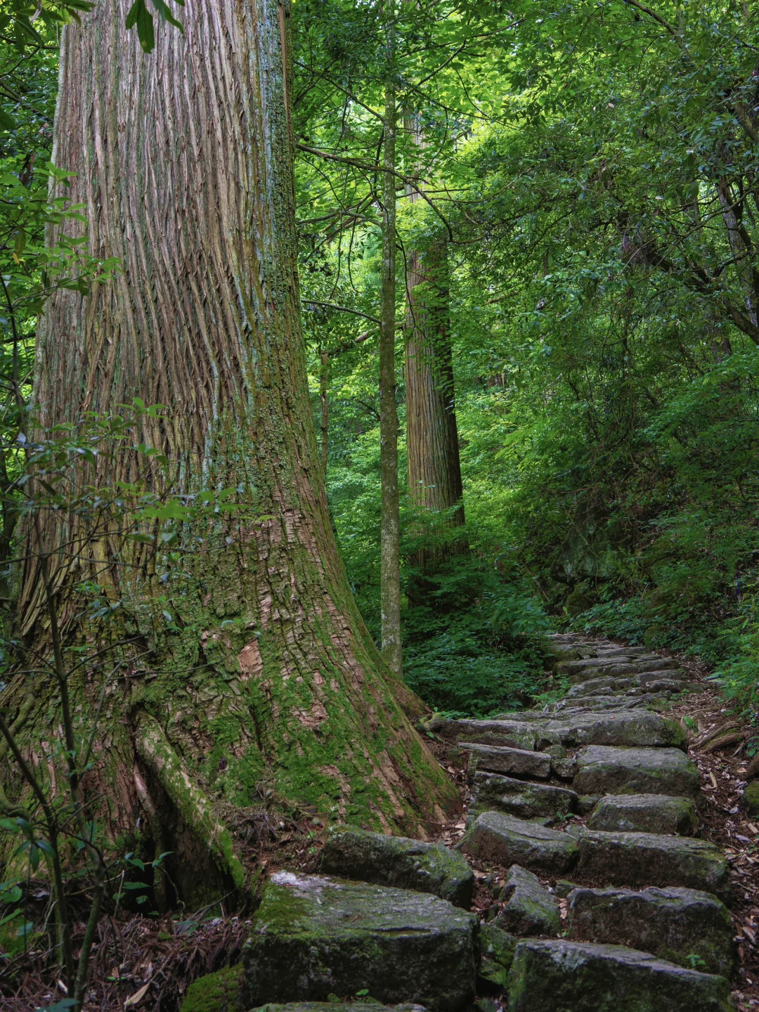 我很少用震撼来形容一个地方!!!