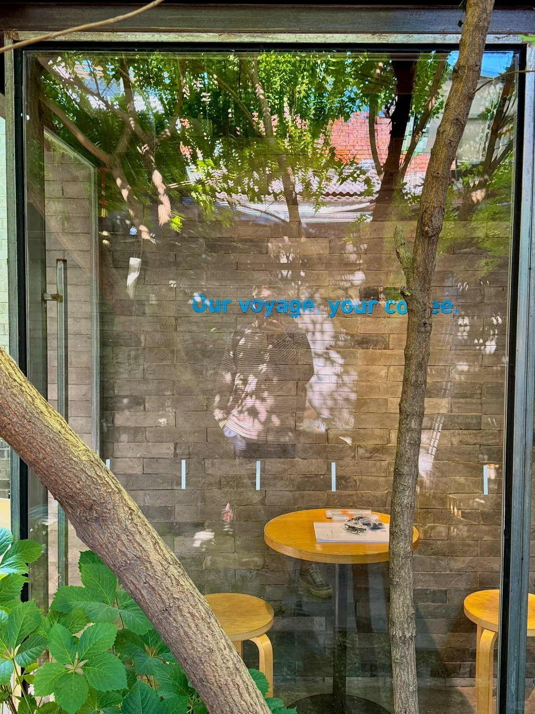 迄今为止最震撼的一条Citywalk路线出现了！