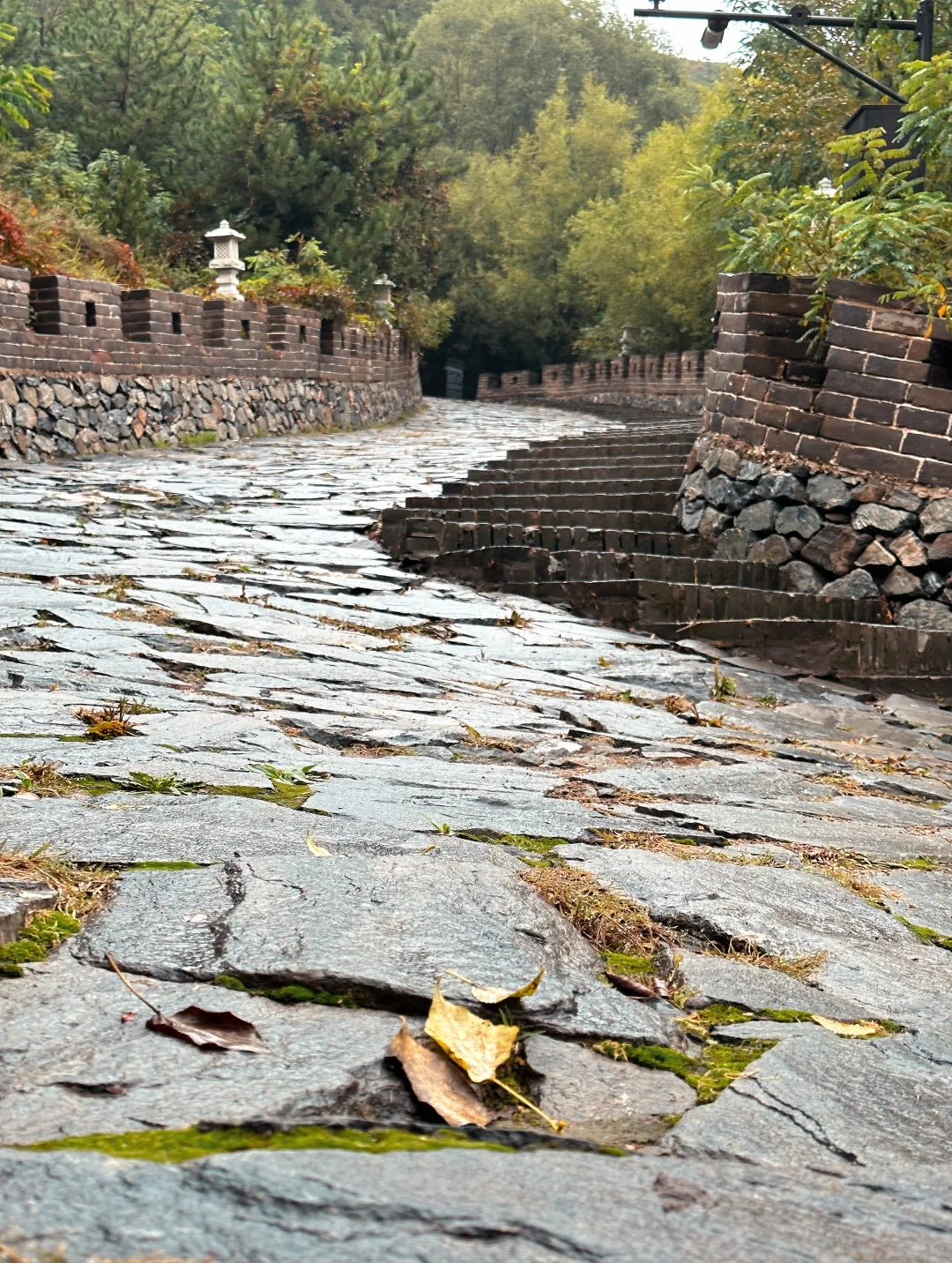 避雷❗第一次来雁门关，直接复制这条路线