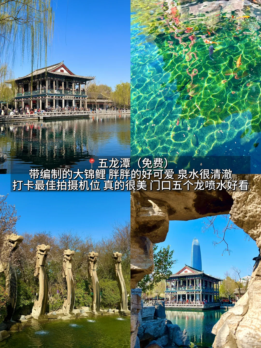 济南真的会惩罚每一个不做攻略的人。。。。