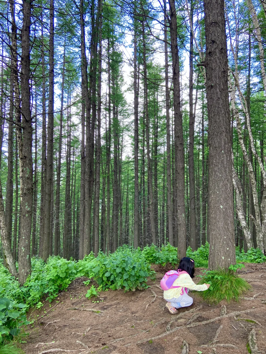 18°C的石家庄，岂止是避暑