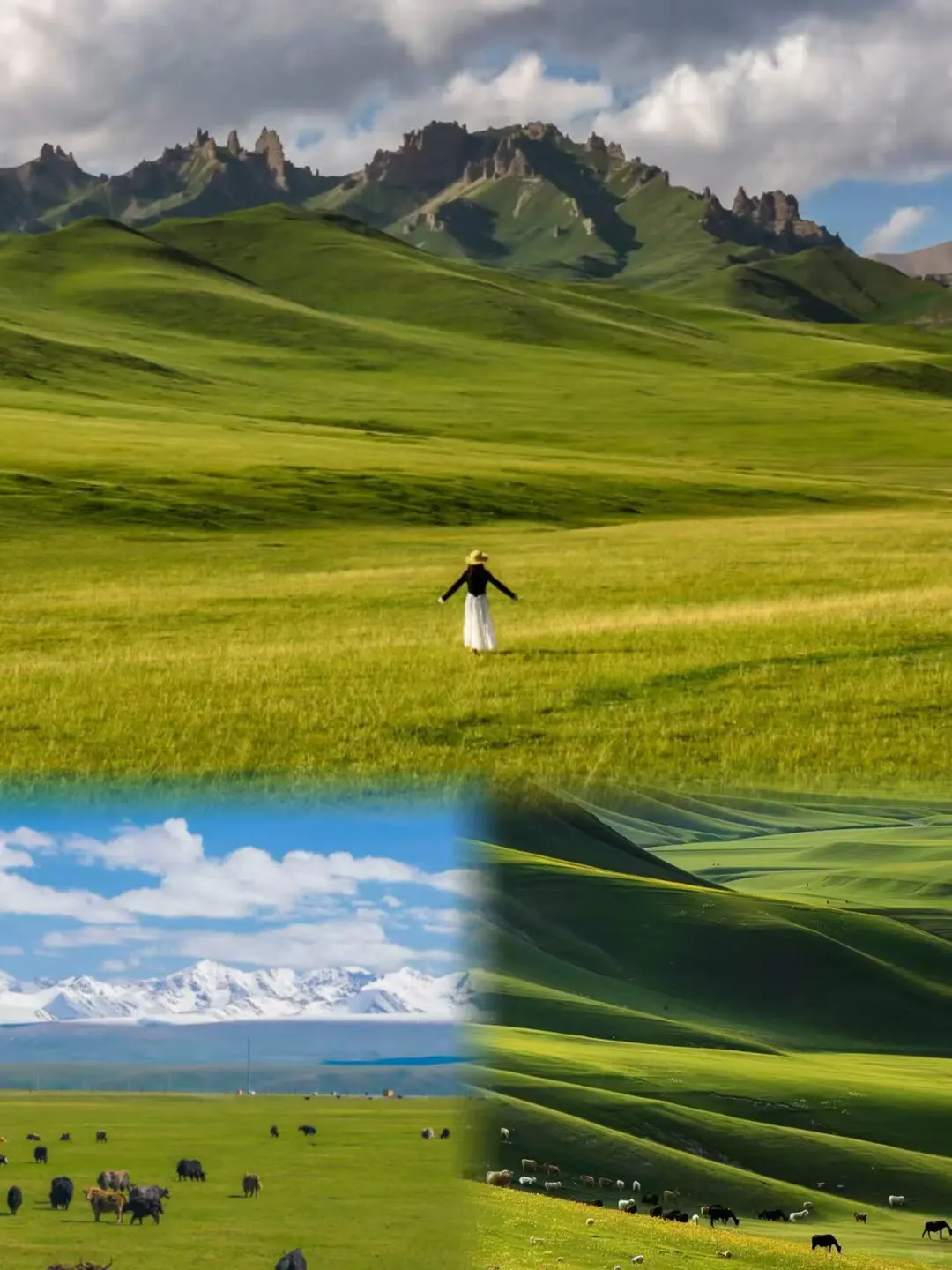 去呼和浩特旅游，保姆级攻略已做好❗