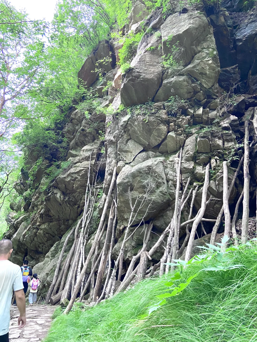 18°C的石家庄，岂止是避暑