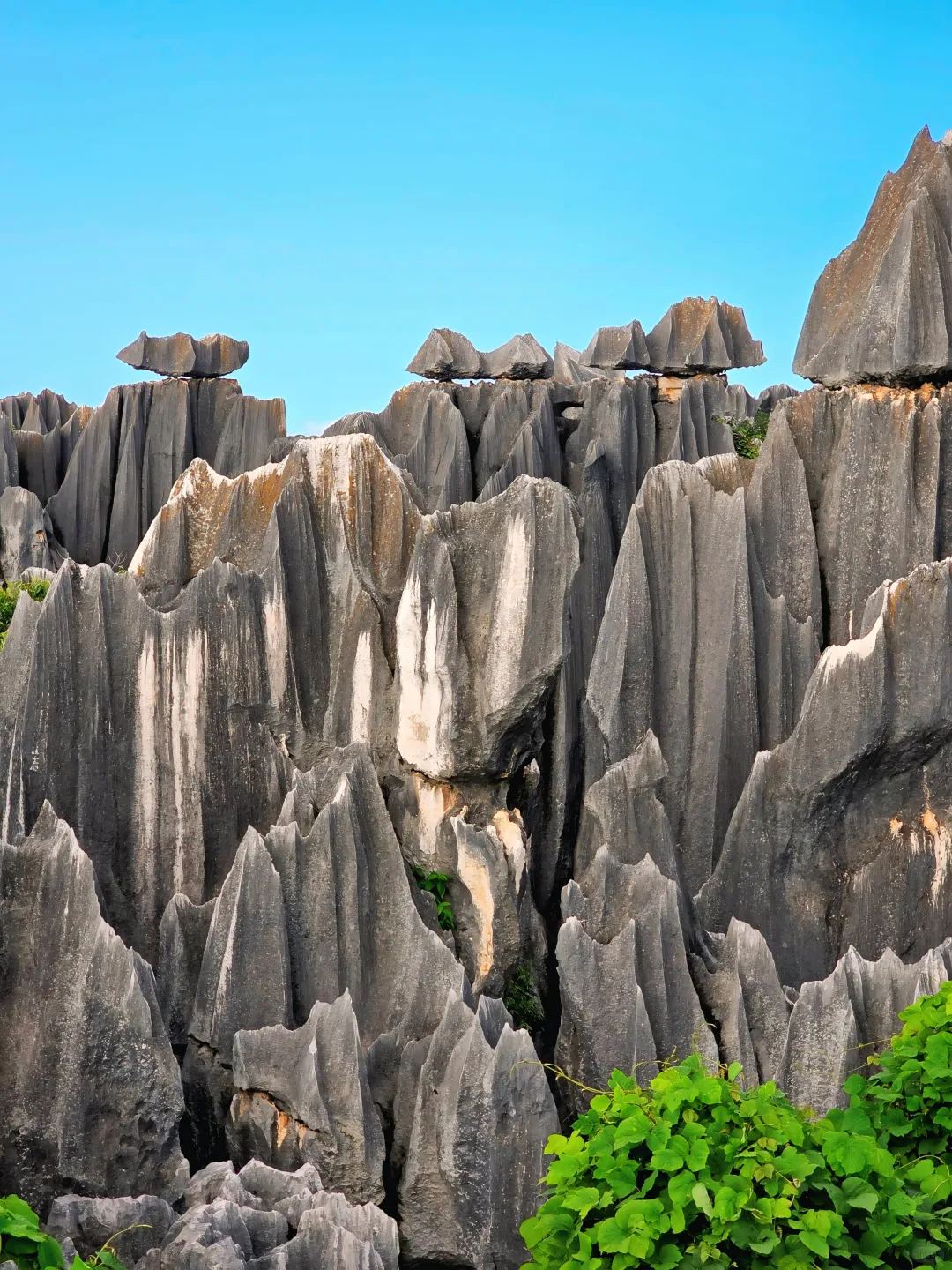 挑战全网最美石林|双彩虹下的阿诗玛🌈