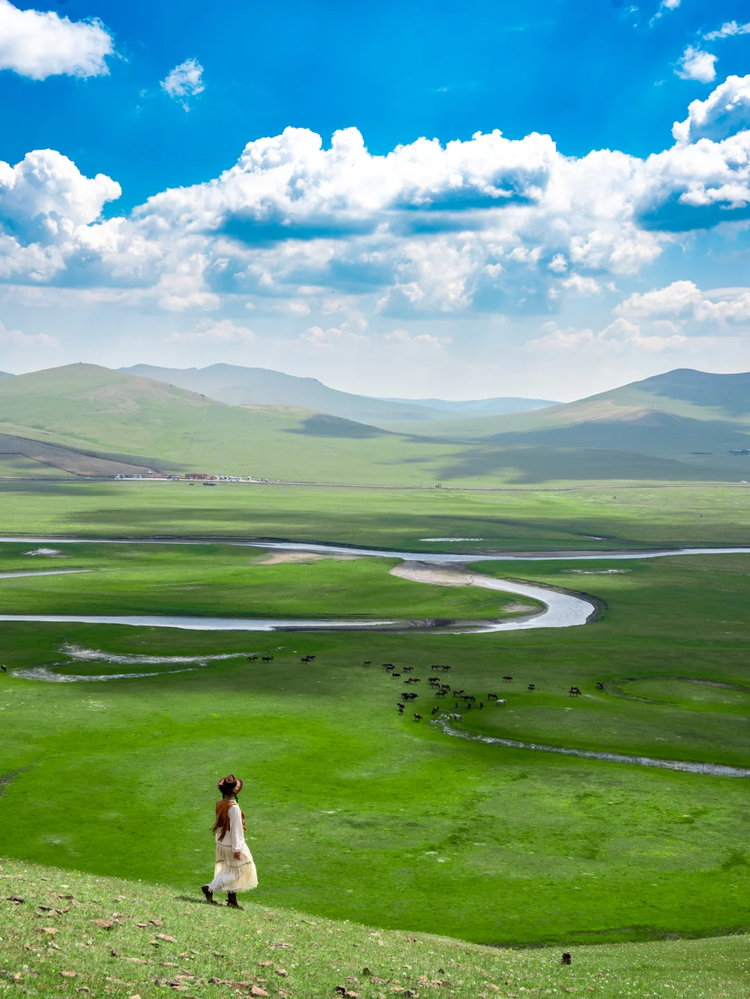 暑假的呼伦贝尔简直是人间理想