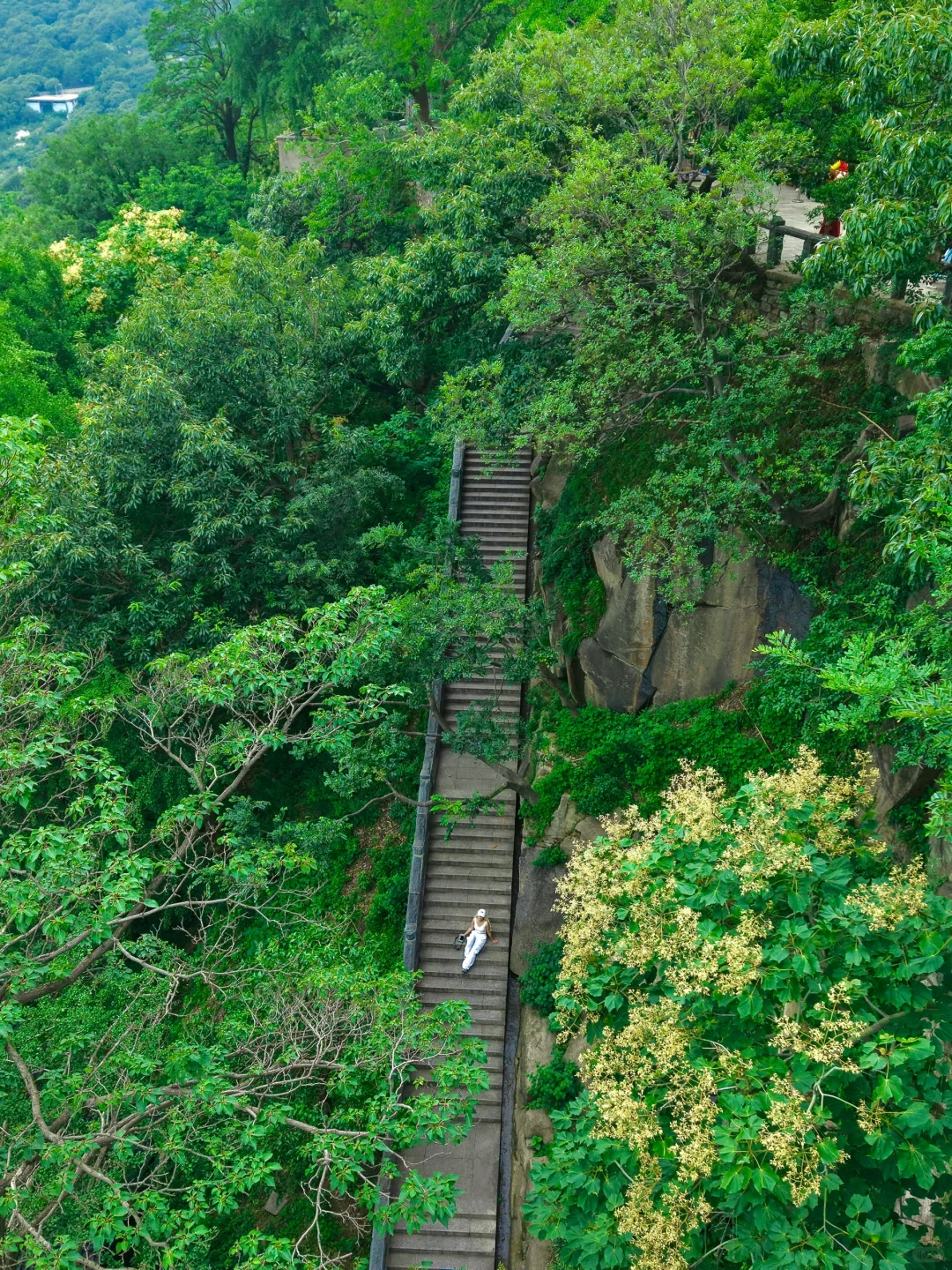 逃离40°C高温,连云港20°C的神仙避暑地 !