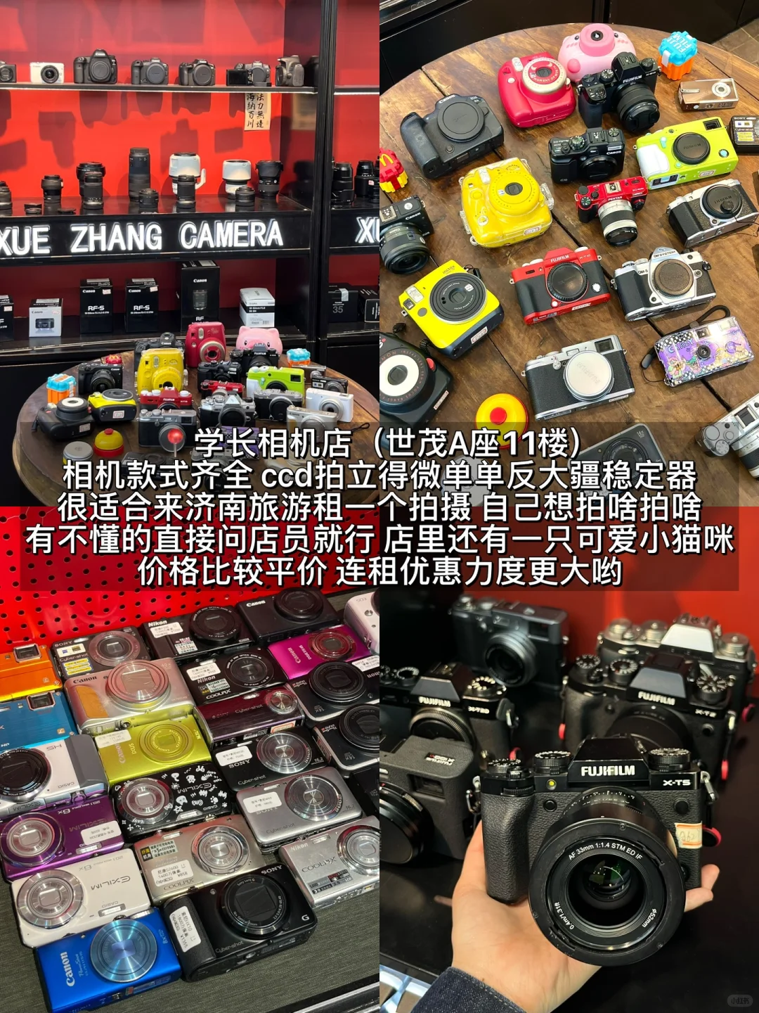 济南真的会惩罚每一个不做攻略的人。。。。