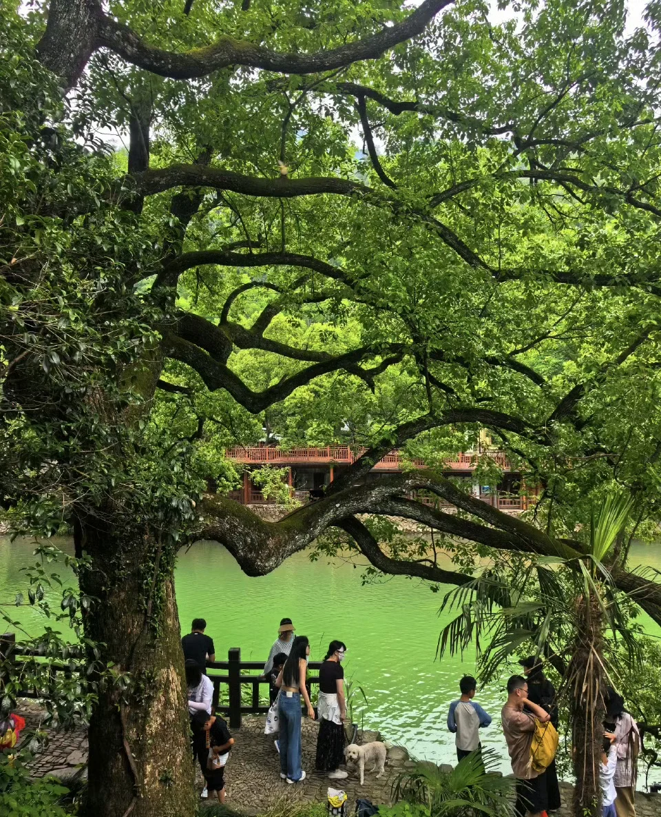 03女大📍桐庐/两天一夜精华版旅游攻略‼️