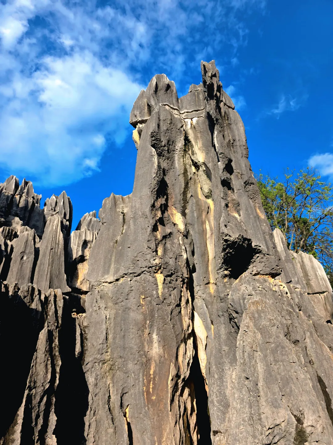 挑战全网最美石林|双彩虹下的阿诗玛🌈