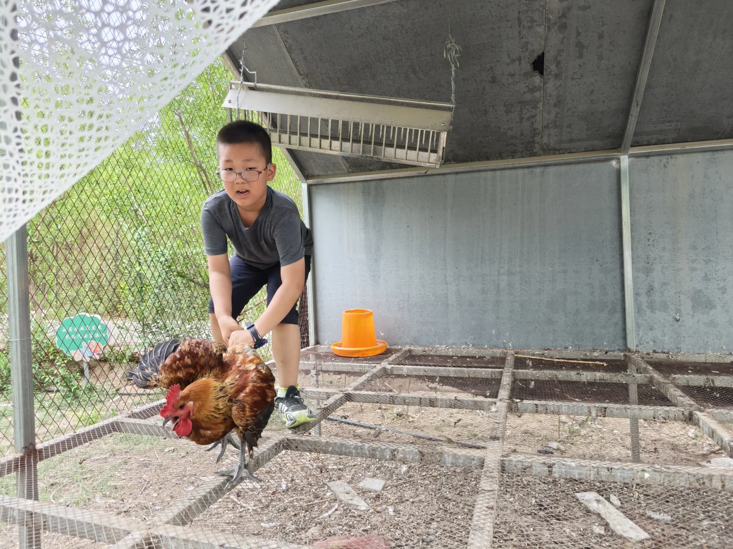 敦煌农垦研学，红枣博物馆奇遇记