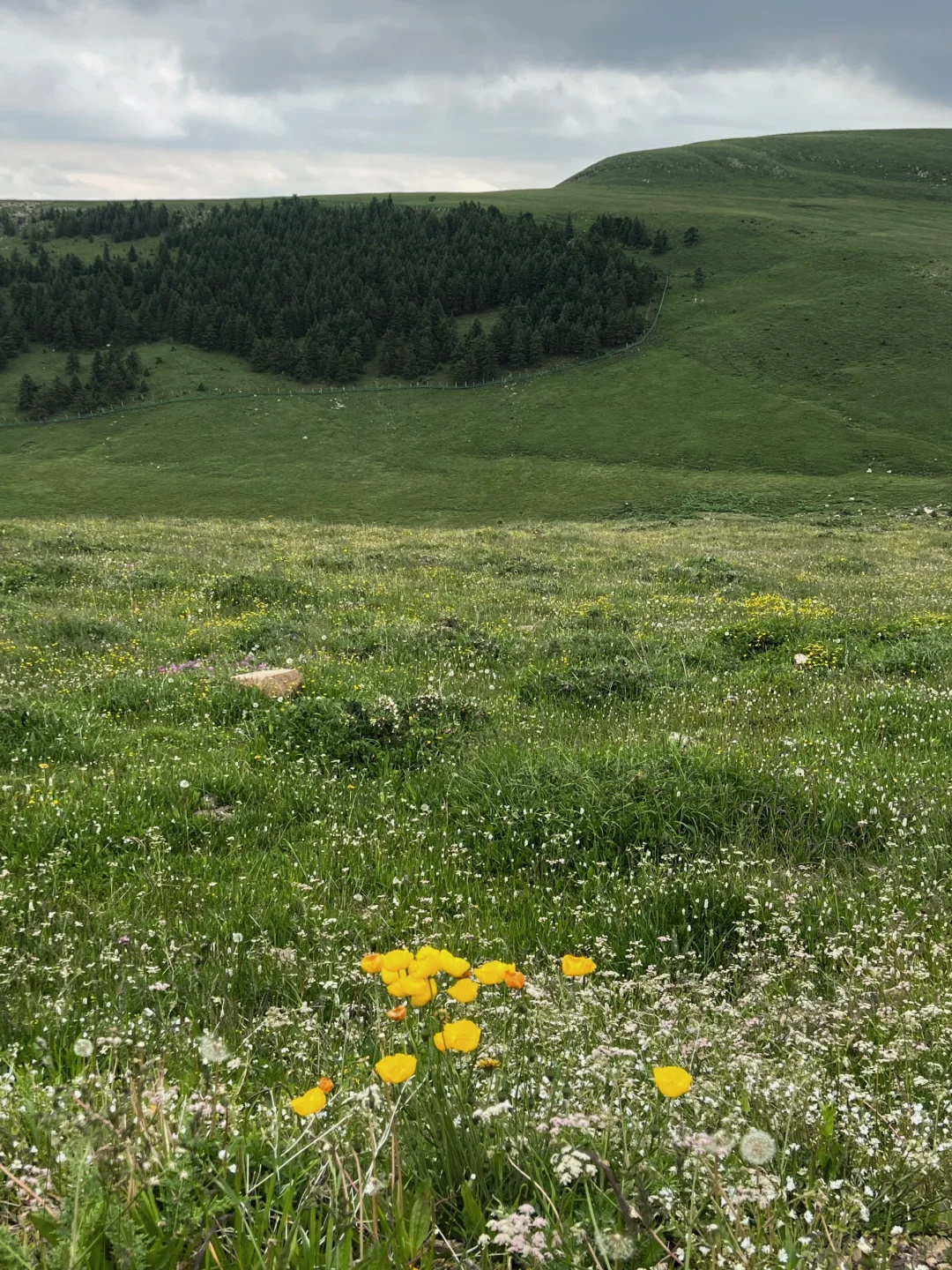 瑞士在山西叭！