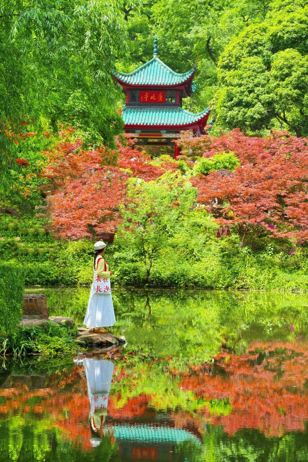 为了这18张图，我专门去了趟长沙！（附路线）