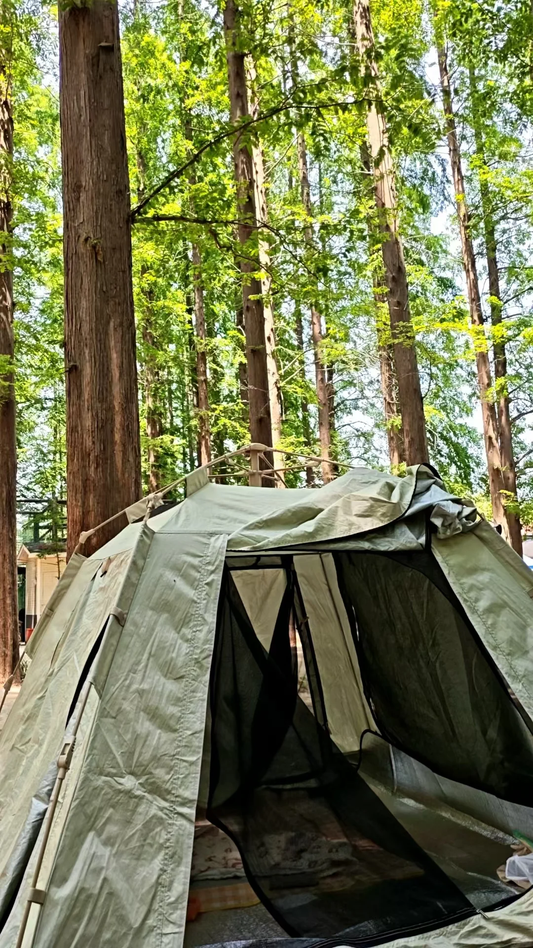 来日照 景点看这一张图就够啦🙌