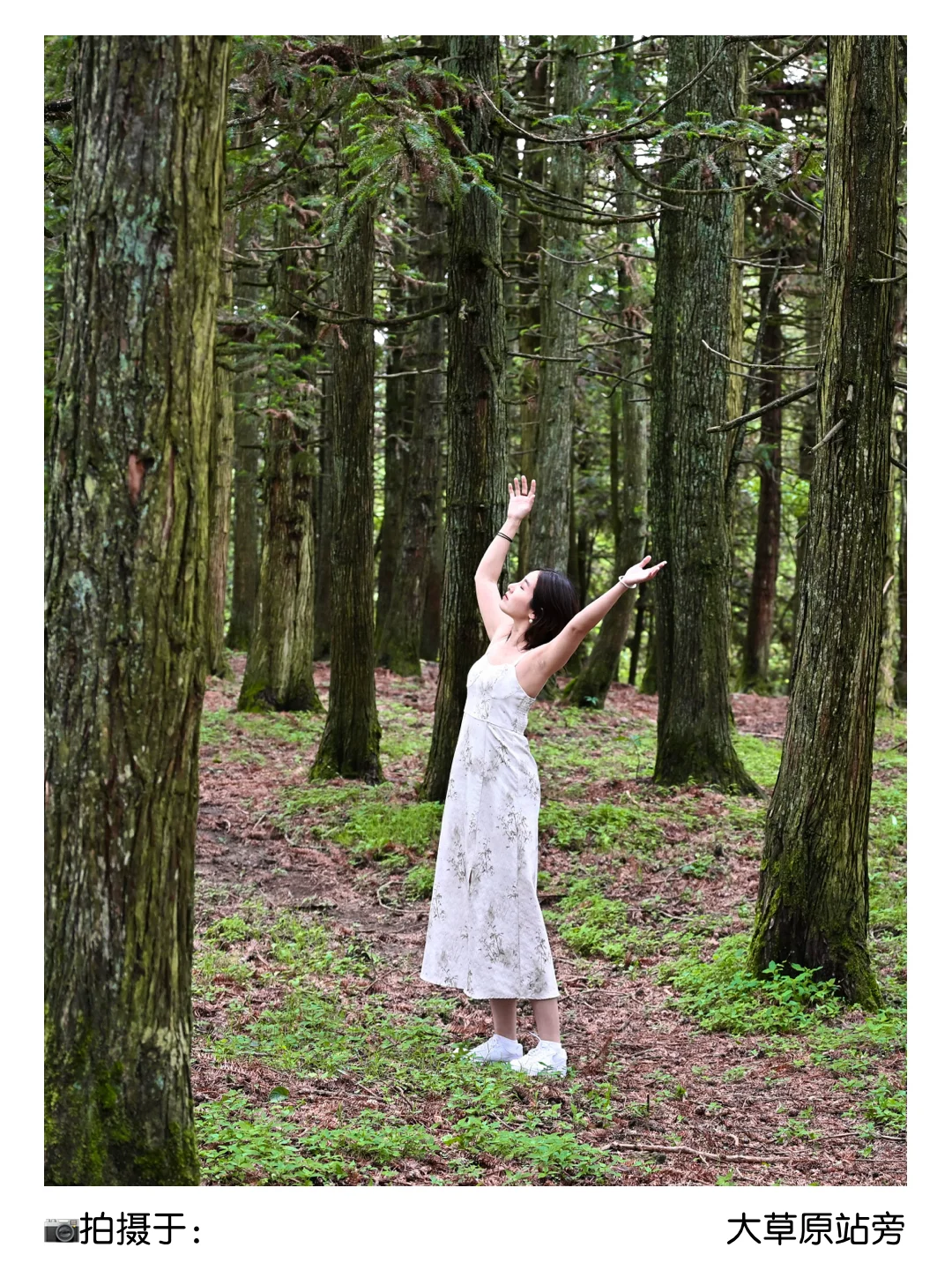 二孃叫我📣暑假来重庆避暑？