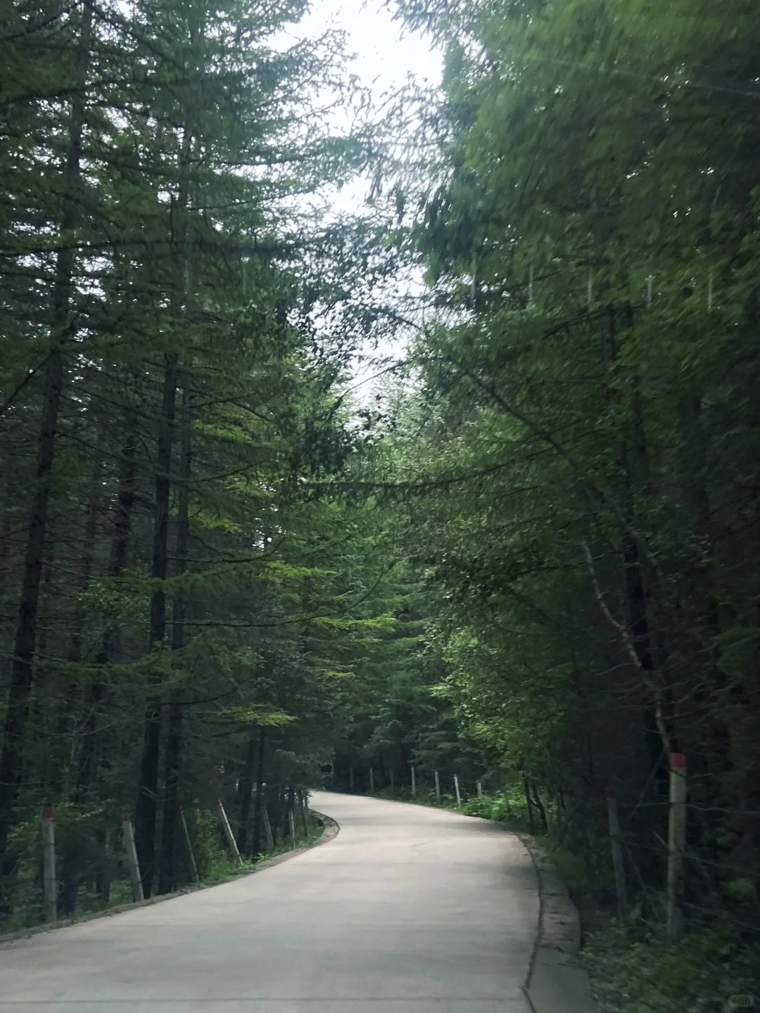 瑞士在山西叭！