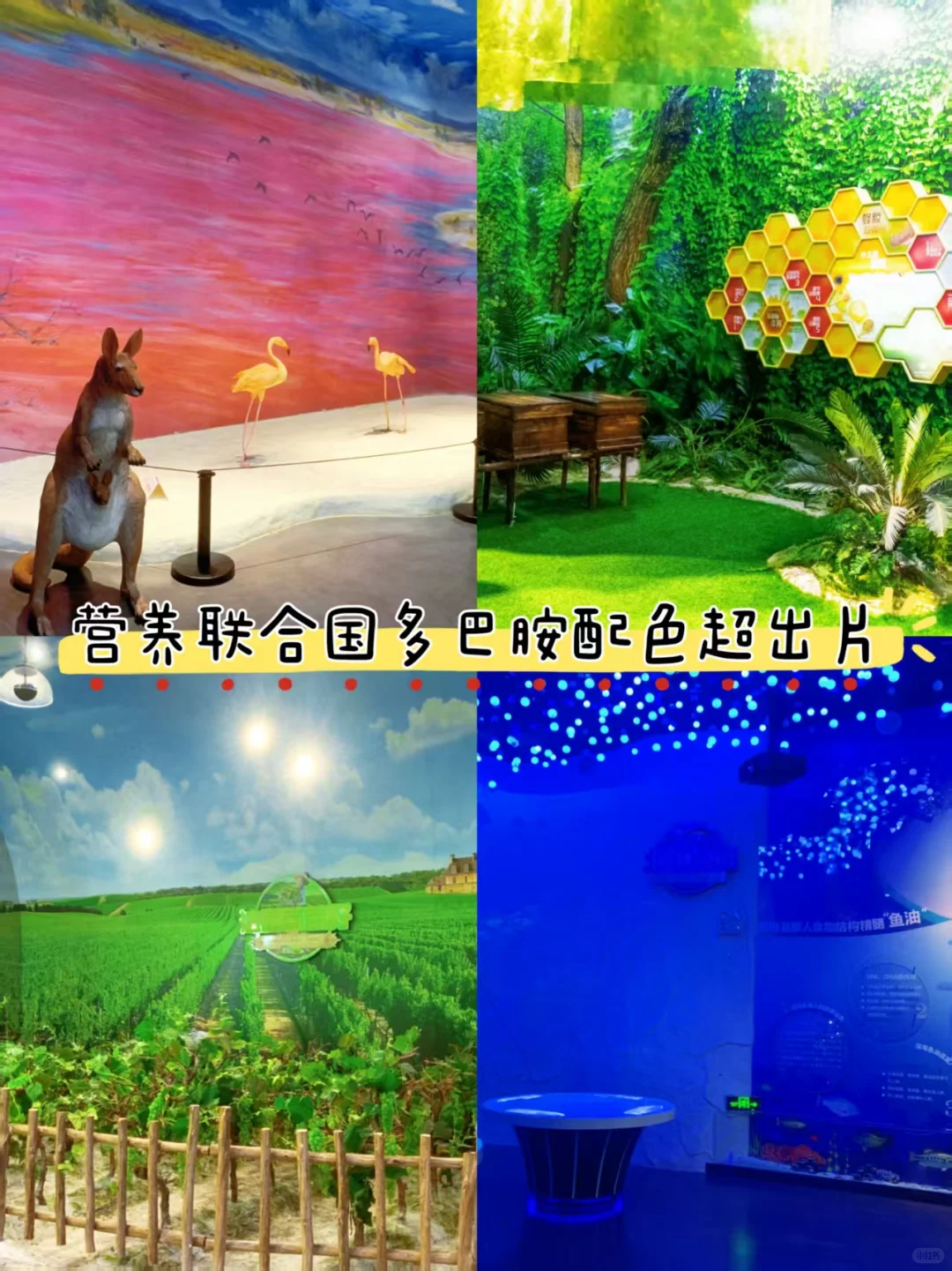 在珠海挖到坠适合ENFP打卡的地方了!