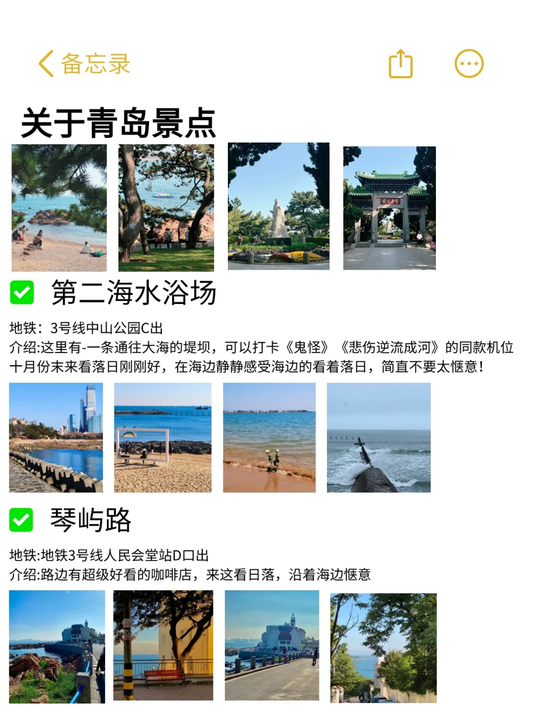 青岛本地人写的旅游攻略