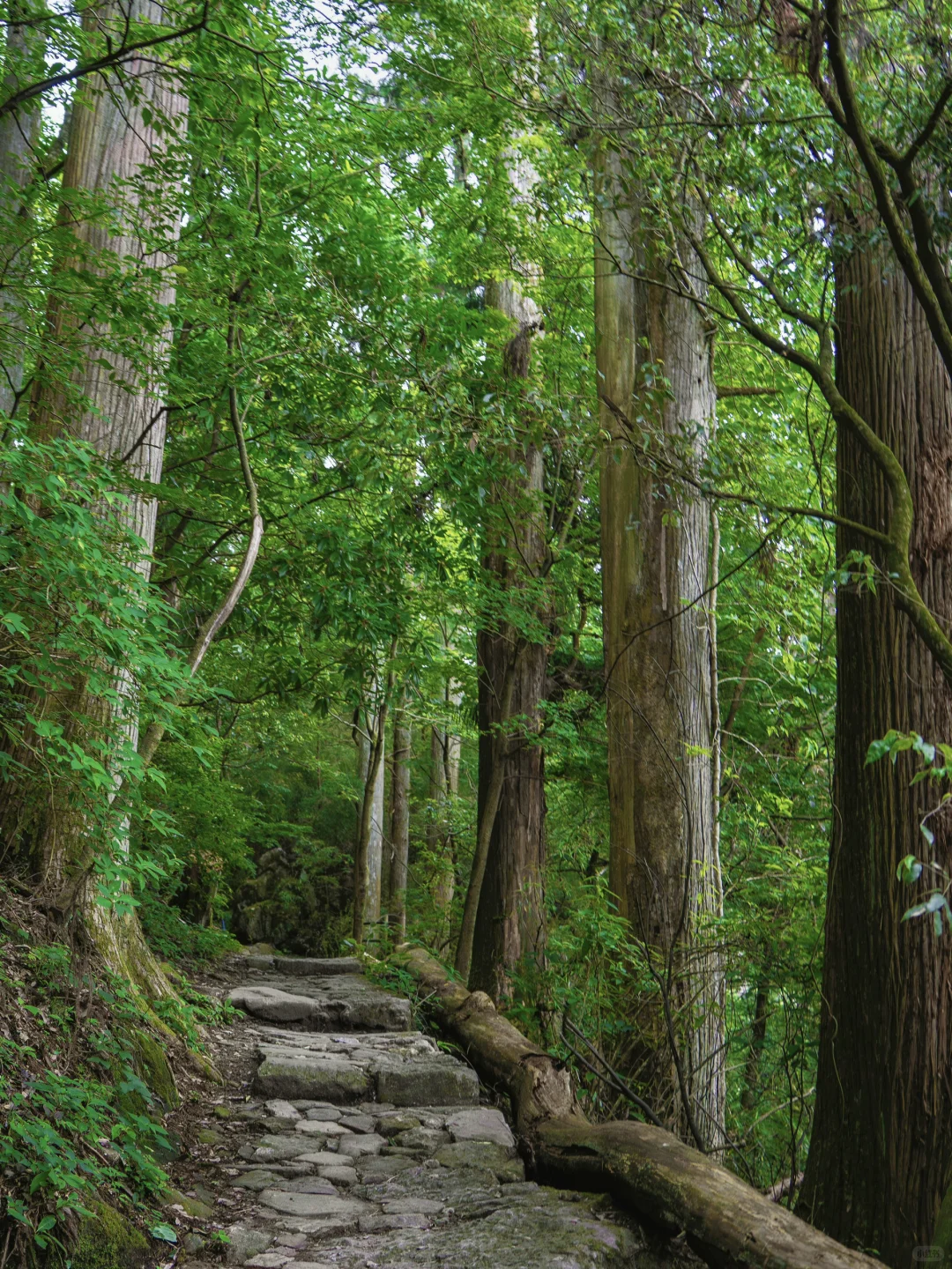我很少用震撼来形容一个地方!!!