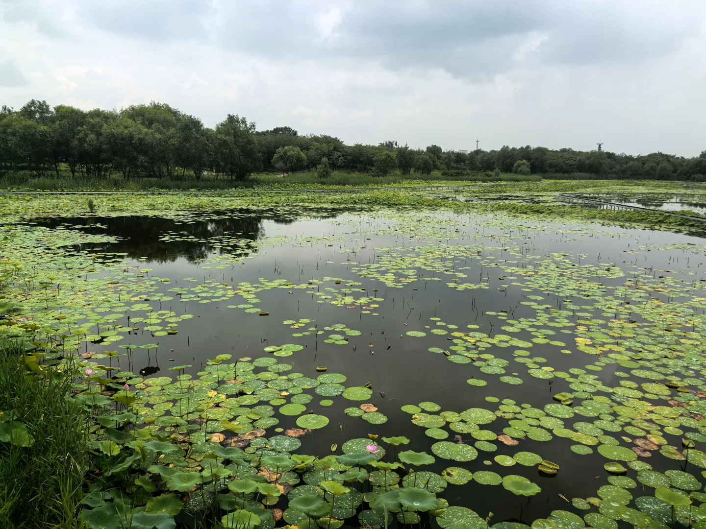 衡水一日游（休闲打卡）