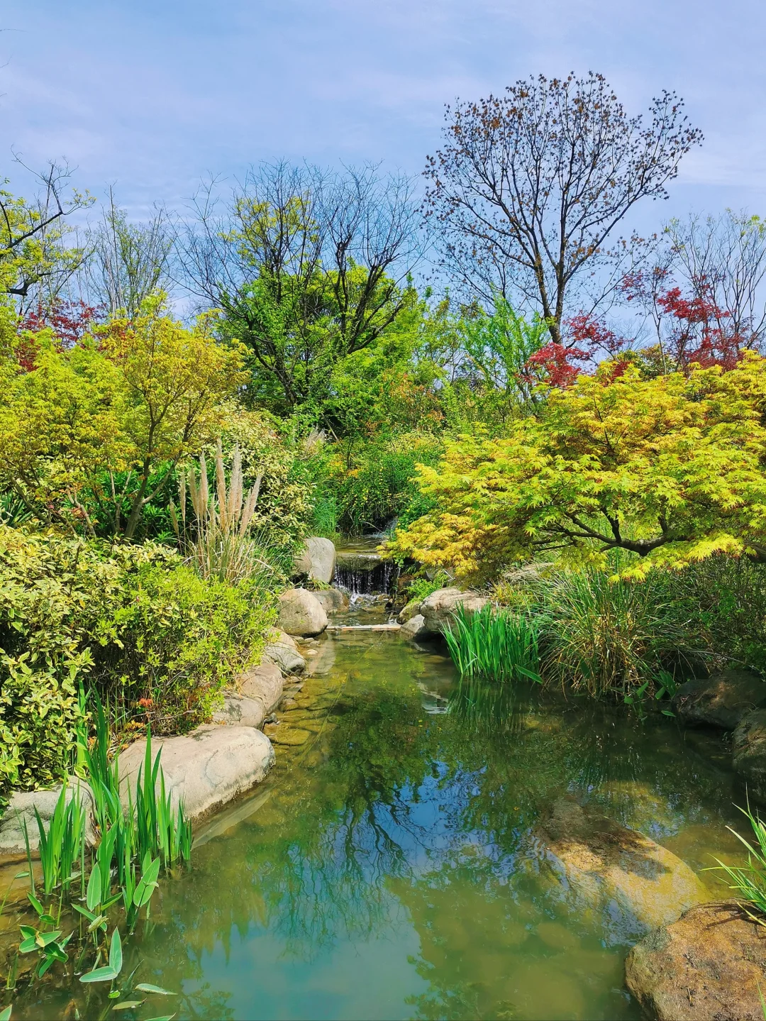 拈花湾，一个能让心栖息的地方