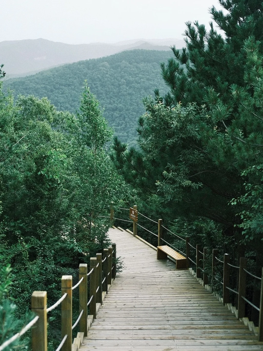 码住!山西晋城析城山圣王坪打卡攻略