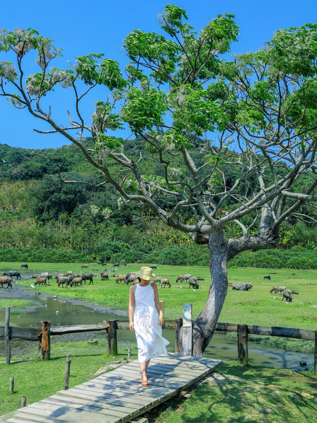 万宁三亚5天4晚，对自己行程攻略满意哭了😭